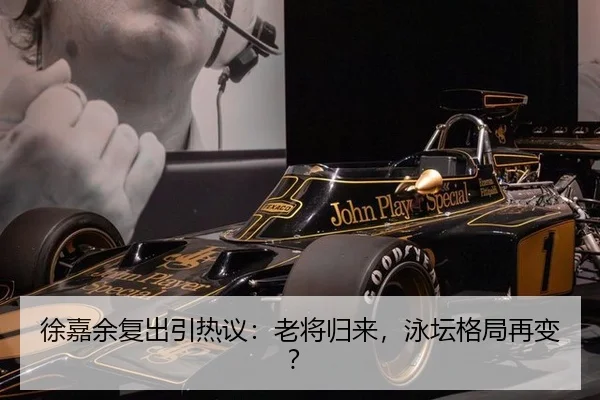 徐嘉余复出引热议：老将归来，泳坛格局再变？